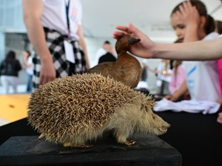 festival_znanosti4-200426.jpg